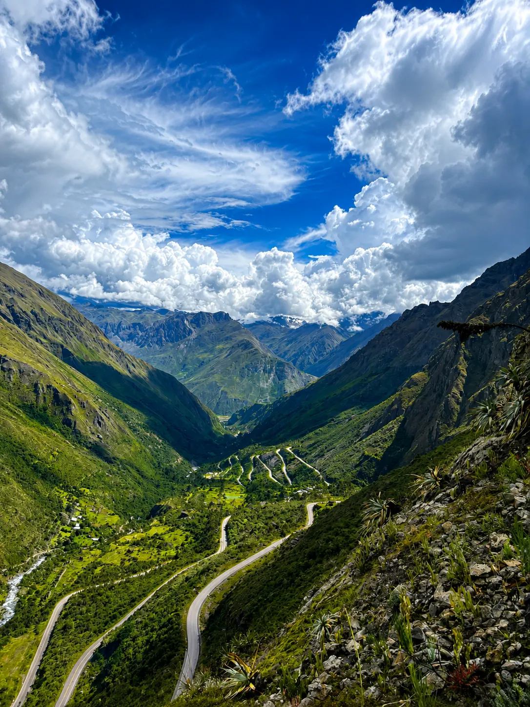 Naturaleza y paisajes